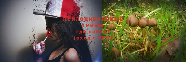 прущая мука Липки