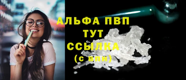 PSILOCYBIN Лихославль