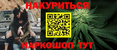 крисы Будённовск