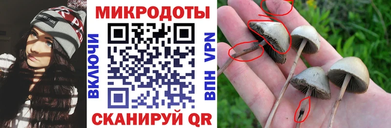 как найти Елабуга hydra ссылка Псилоцибиновые грибы GOLDEN TEACHER