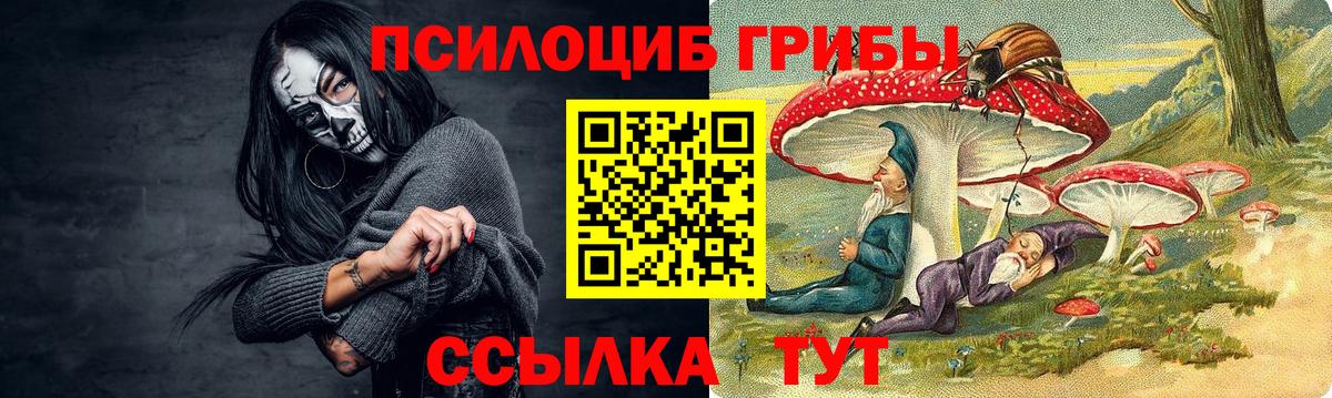 Псилоцибиновые грибы MAGIC MUSHROOMS  Псилоцибиновые грибы Psilocybine cubensis  Елабуга  закладка  Вход с VPN 