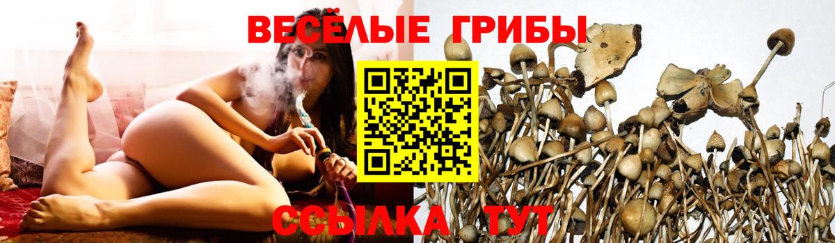 Конопля  КОКАИН  Кетамин  APVP  МДМА  Гашик  Вход с VPN  Елабуга  Мефедрон  Масло ТГК 