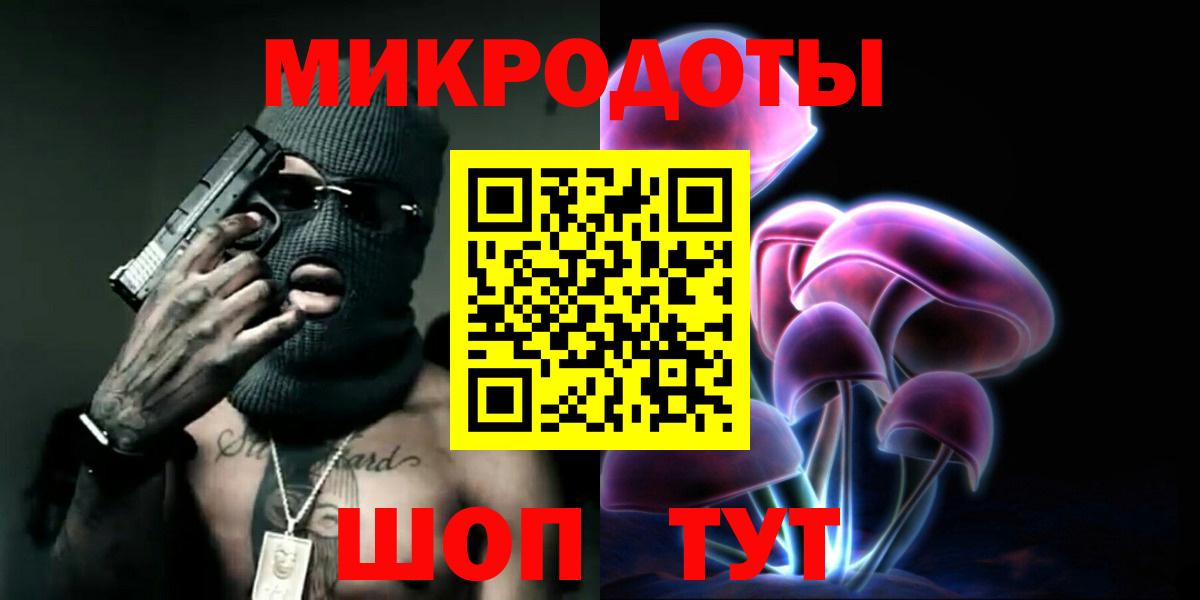 Псилоцибиновые грибы Psilocybine cubensis Елабуга